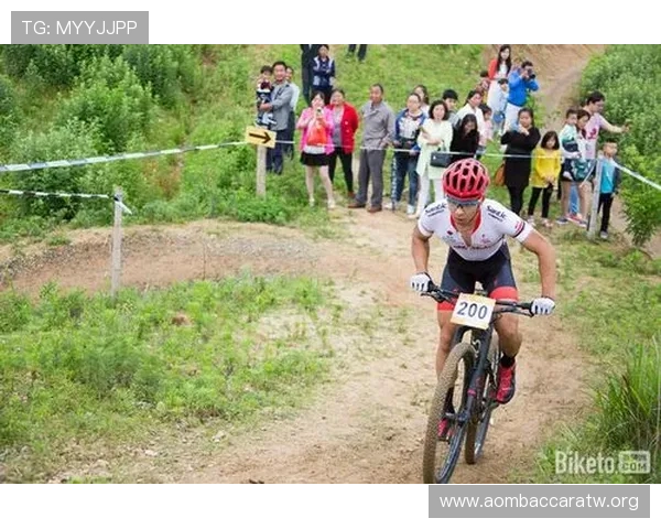 全面解析龙虎打法大全中的核心战术与实战应用提升战斗胜率