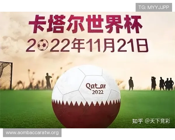 世界杯卡塔尔对阵瑞士比赛竞彩玩法详细解析与投注技巧指南